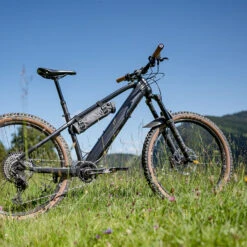 Fazua Energy Bag - E-Bike Akku Tasche -E-Bike Teile Verkauf fazua energy bag action